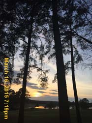 IMG_0660