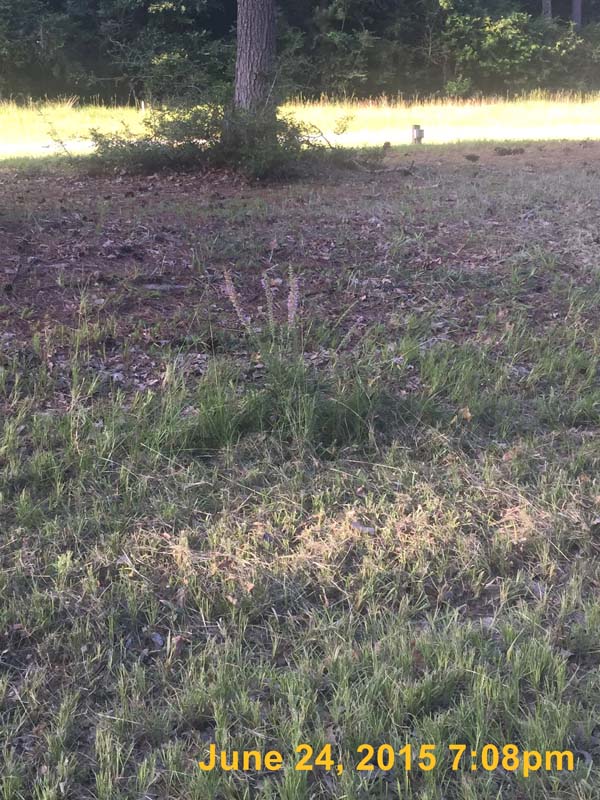 IMG_2604