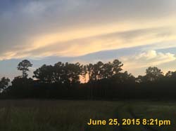 IMG_2701