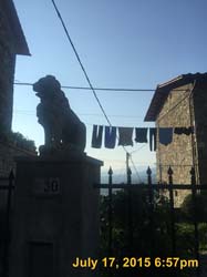 IMG_3398
