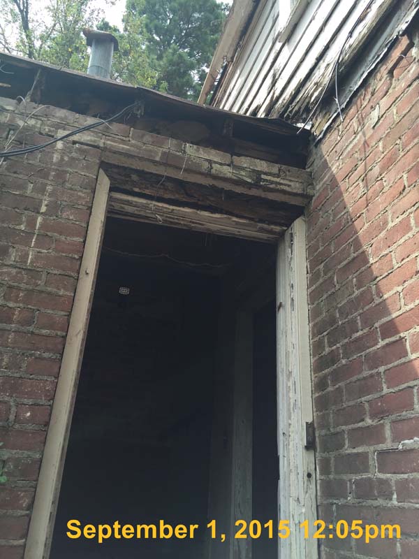 IMG_4529