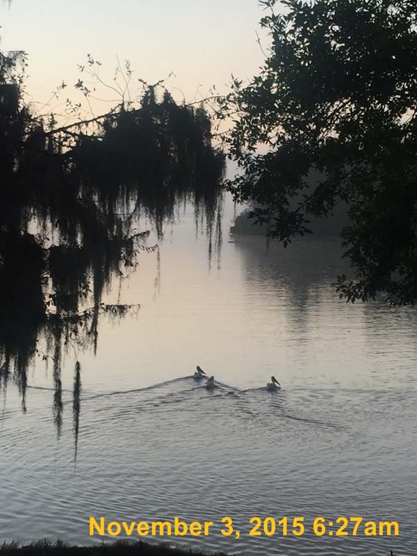 IMG_6596