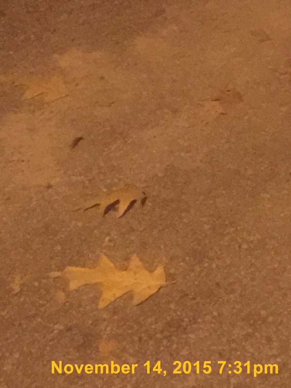 IMG_6807