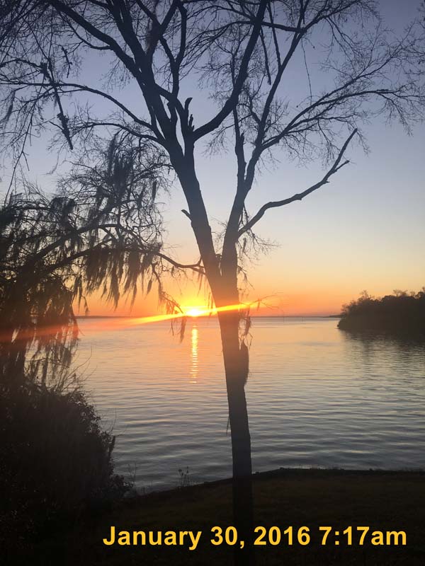 IMG_1999