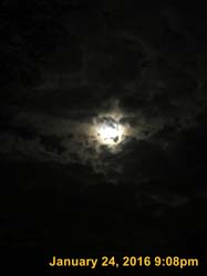 IMG_1714