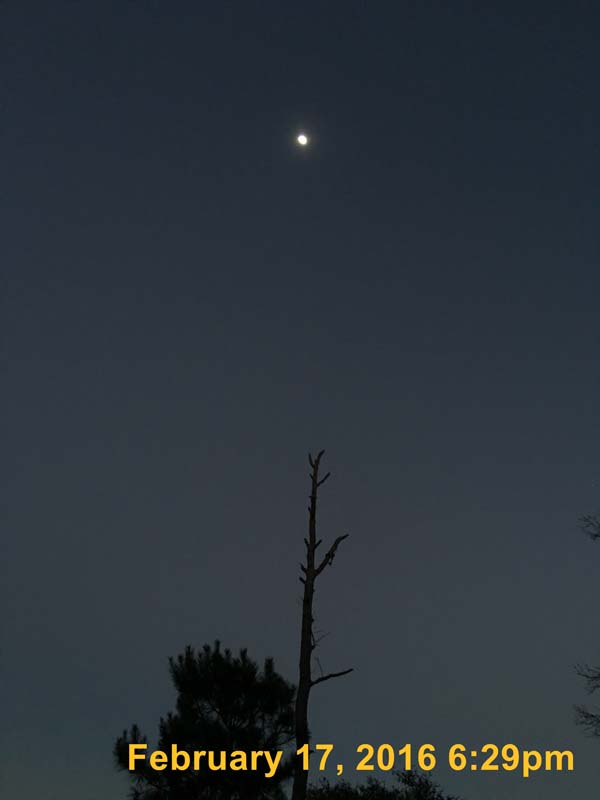 IMG_2607