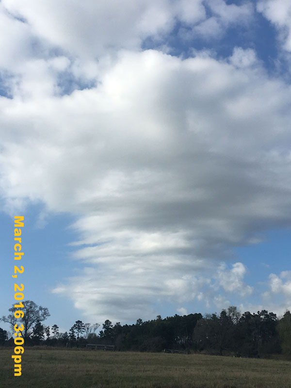 IMG_2996