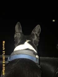 IMG_3693