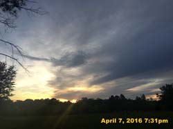 IMG_4226