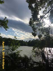 IMG_4290