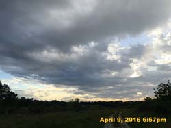 IMG_4295