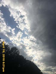 IMG_4695