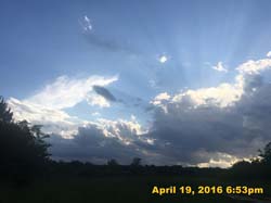 IMG_4706
