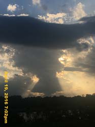 IMG_4719