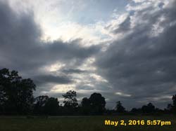 IMG_5187