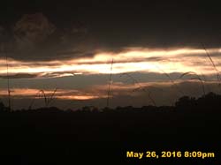 IMG_5973