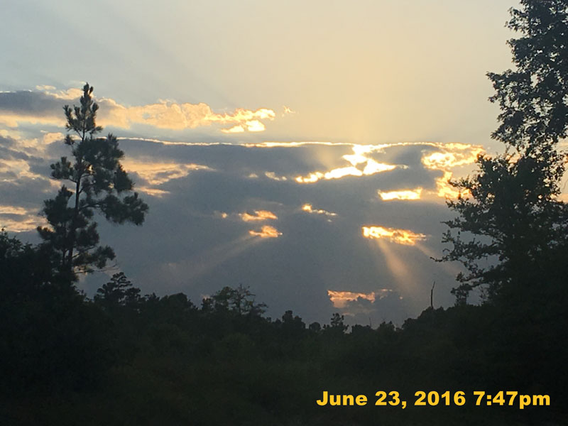 IMG_7183