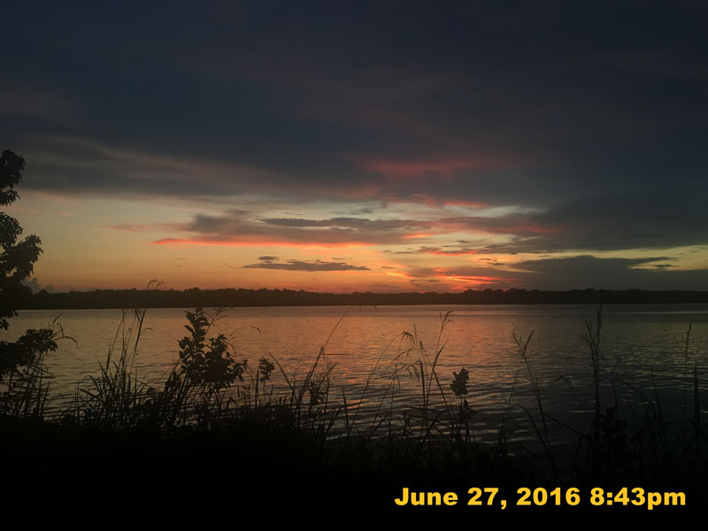 IMG_7498