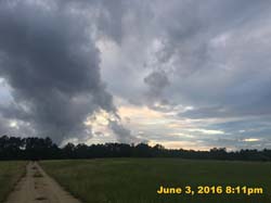 IMG_6207