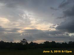 IMG_6209