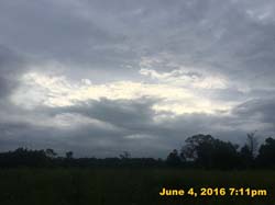 IMG_6236