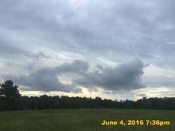 IMG_6246
