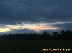 IMG_6254