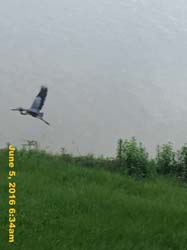 IMG_6261