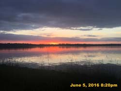 IMG_6286