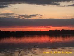 IMG_6295