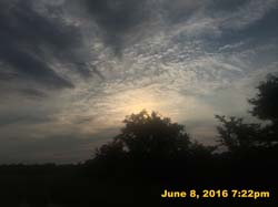 IMG_6426