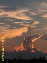 IMG_6495