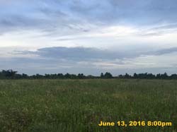 IMG_6648