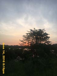IMG_6681