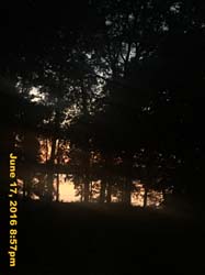 IMG_6739