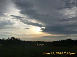 IMG_6775