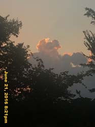 IMG_7061