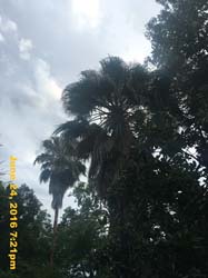 IMG_7297
