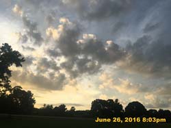 IMG_7408