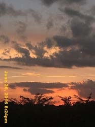 IMG_7417