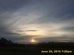 IMG_7539