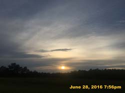 IMG_7541