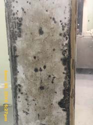 IMG_7767
