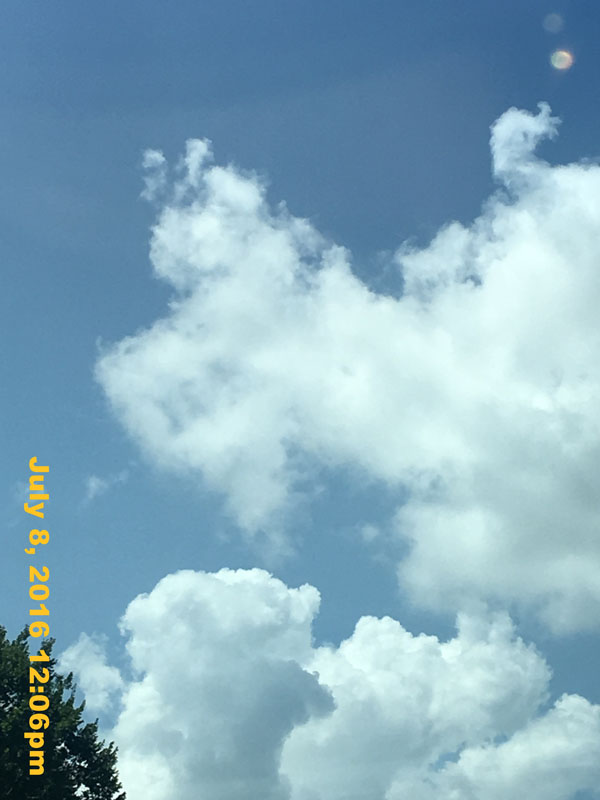 IMG_8229