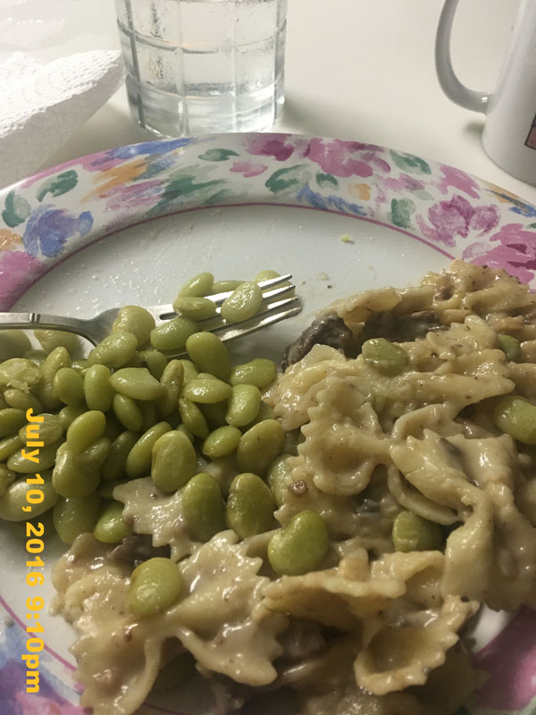 IMG_8461