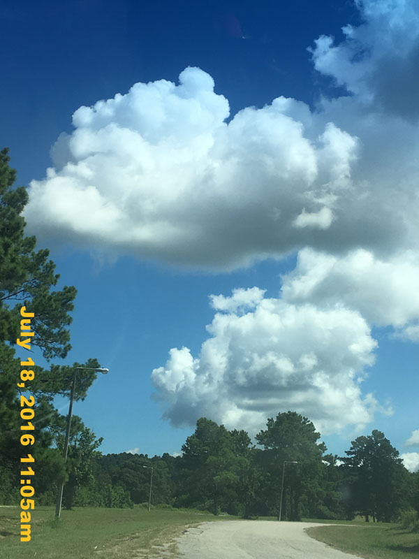 IMG_8799