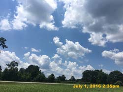 IMG_7876