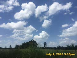 IMG_7914