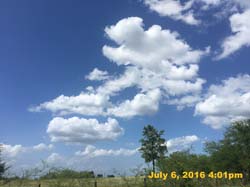 IMG_8060