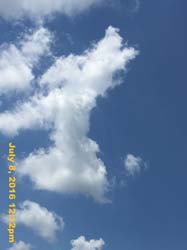 IMG_8241